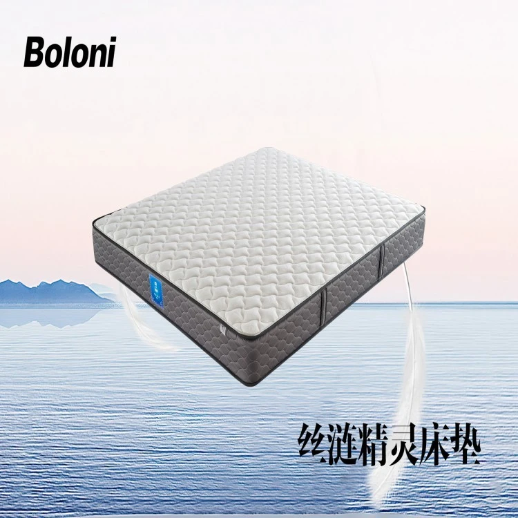 Thickened mattress (2)