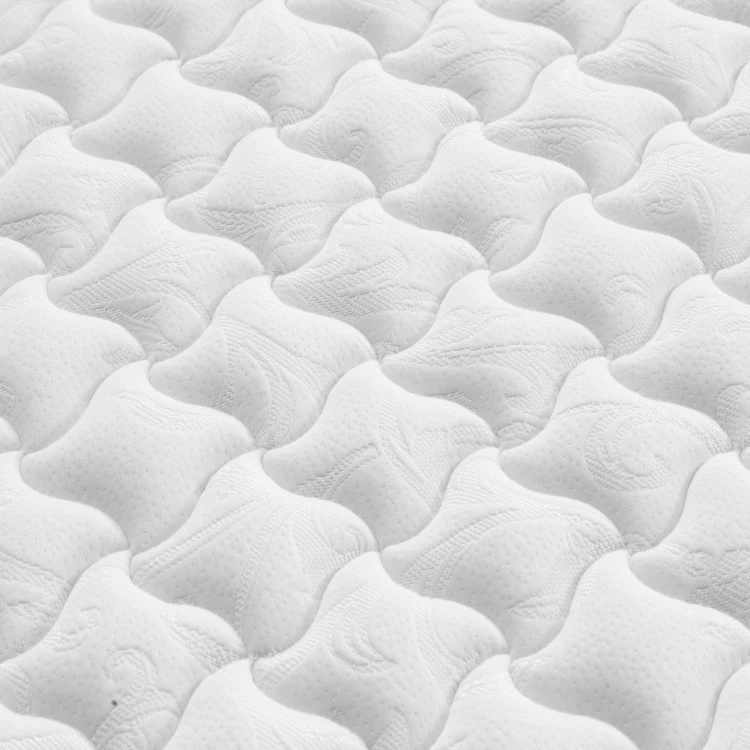 Thickened mattress (1)